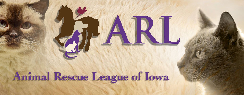 Animal Rescue League banner