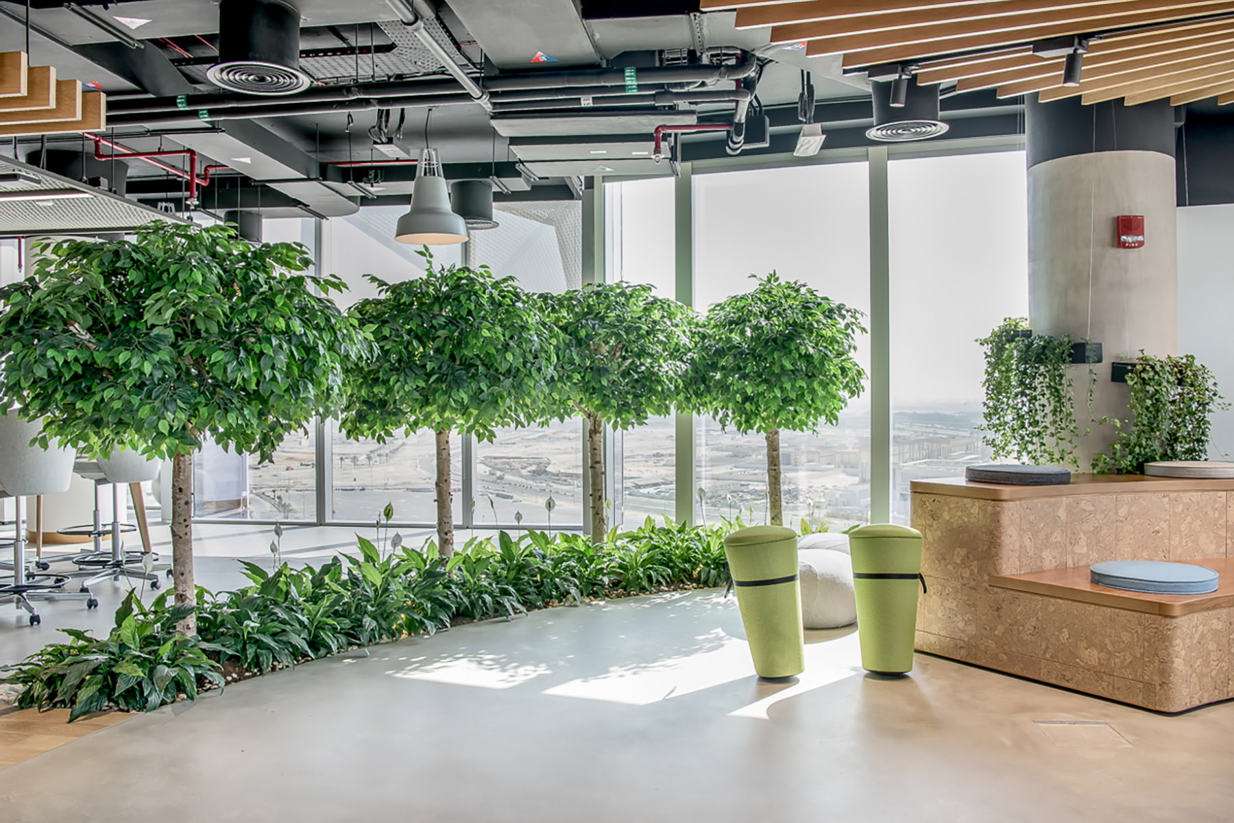 Living Green Wall Installation