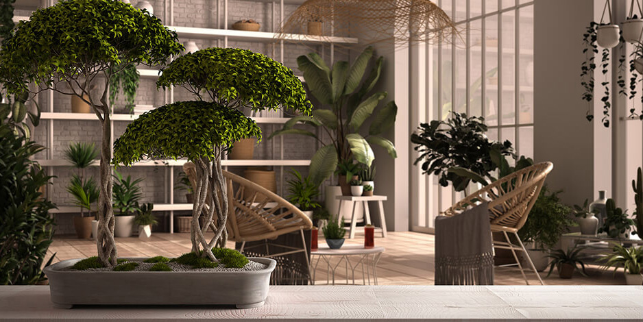 Residential Botanical Design